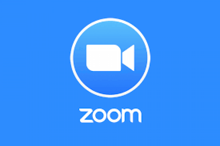 Phần mềm Zoom Zoom Không Hiển Thị Video